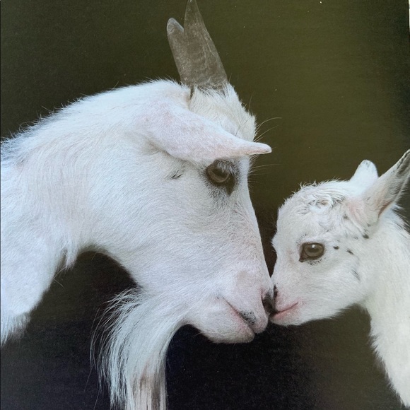 Hi, I’m Arka Deo. Thank you for stopping by. - Picture 10 of 10